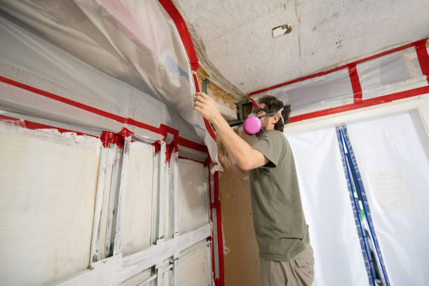 Environmental Consulting for Mold Prevention in North Apollo, PA
